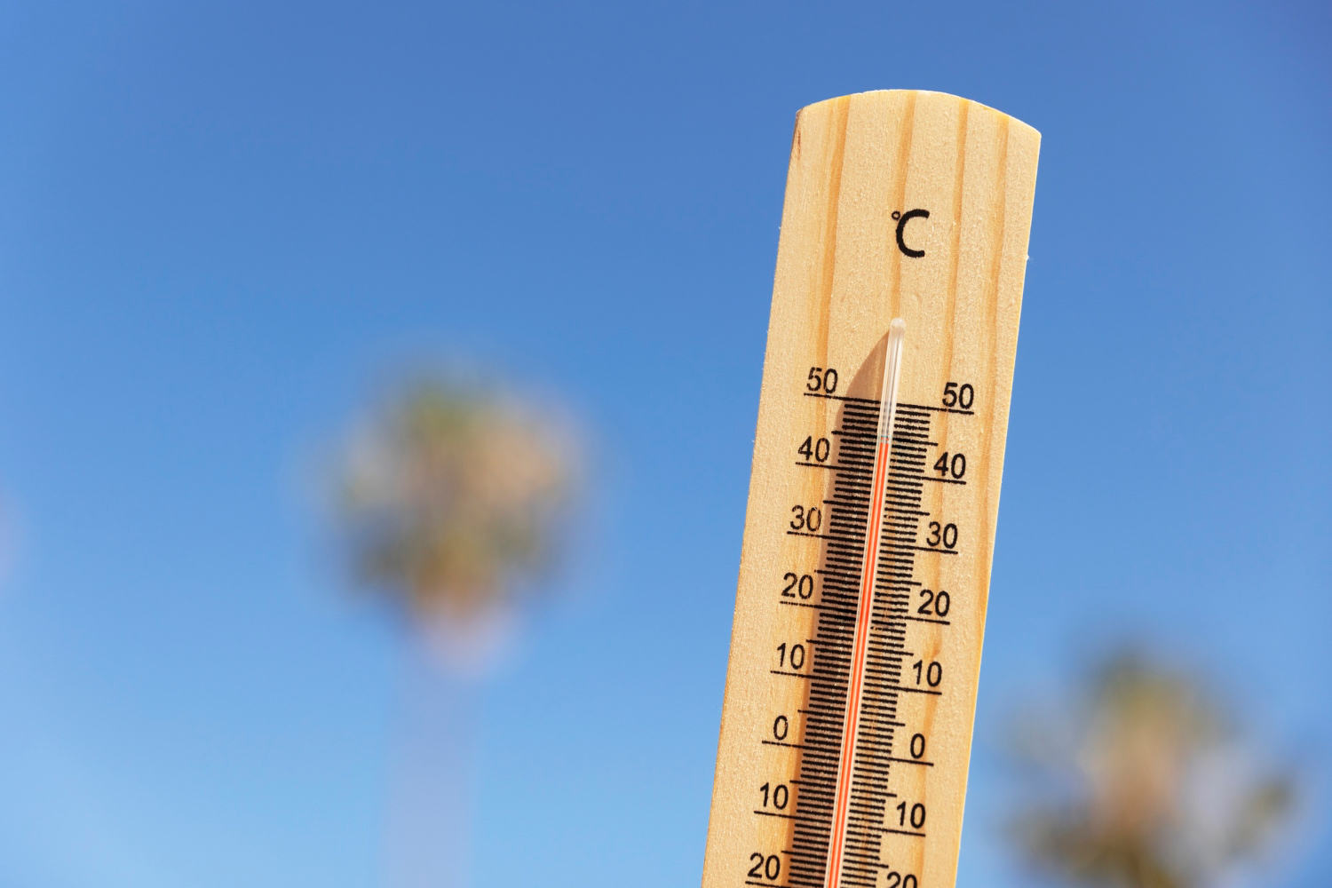 Heatwaves: safety measures